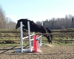 20140511_174954_3_resized