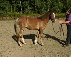 imga0090